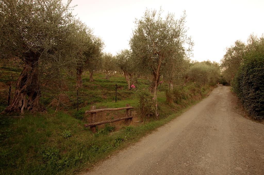 Fattoria Di Camporomano มาสซาโรซา ภายนอก รูปภาพ