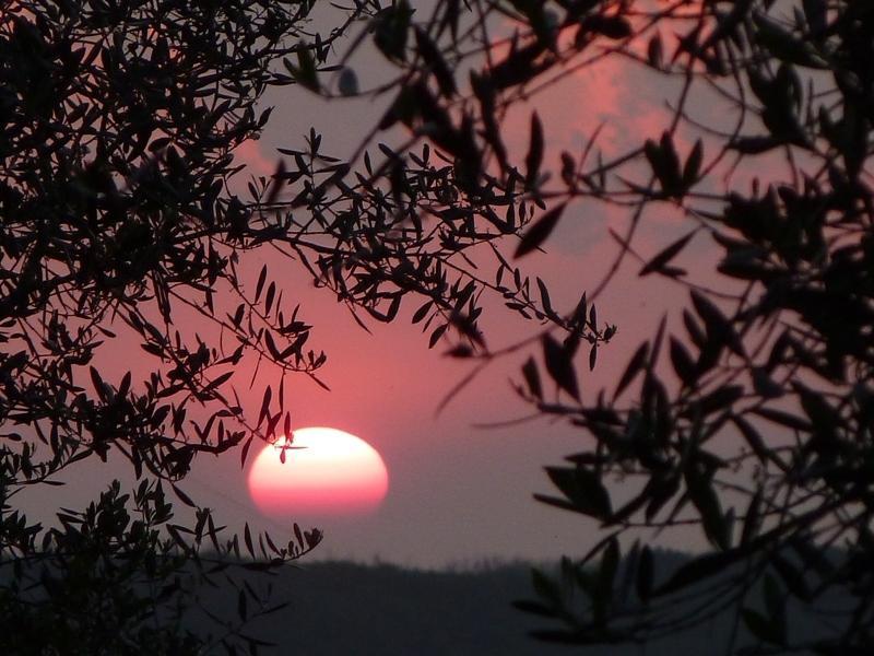 Fattoria Di Camporomano มาสซาโรซา ภายนอก รูปภาพ