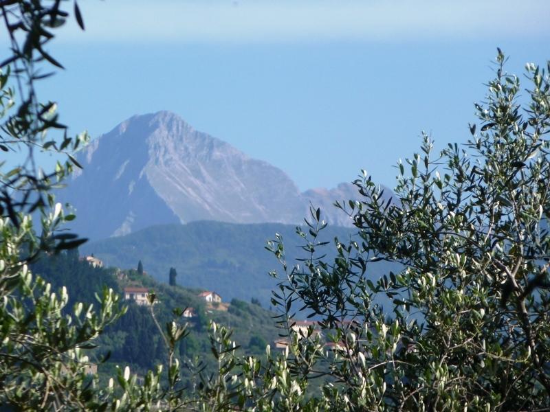 Fattoria Di Camporomano มาสซาโรซา ภายนอก รูปภาพ
